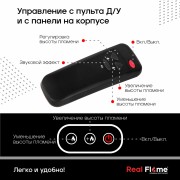 Электроочаг 3D Cassette 630 Black Panel